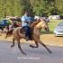 High Roller Stables Horse Show